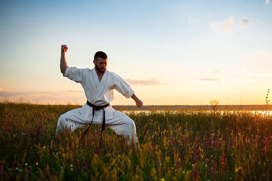 Adult Martial Arts Classes | Birmingham Martial Arts Trussville